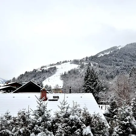 Apartmenthouse 5 Seasons - Incl Summer Card By In One Апартаменты Целль-ам-Зе