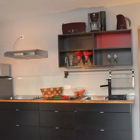 Apartman Apartmenthouse 5 Seasons - Incl Summer Card By In One Zell am See