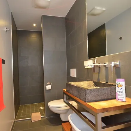 Apartmenthouse 5 Seasons - Incl Summer Card By In One 公寓 滨湖采尔